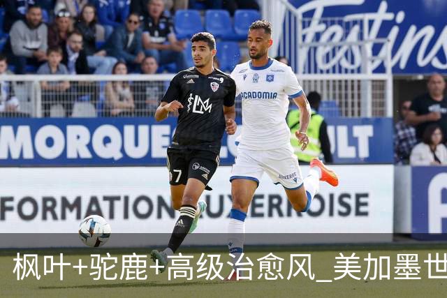 枫叶+驼鹿+高级治愈风 美加墨世界杯加拿大赛区开幕